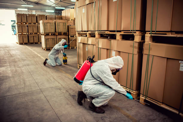 Best Best Pest Control Companies  in Young Harris, GA