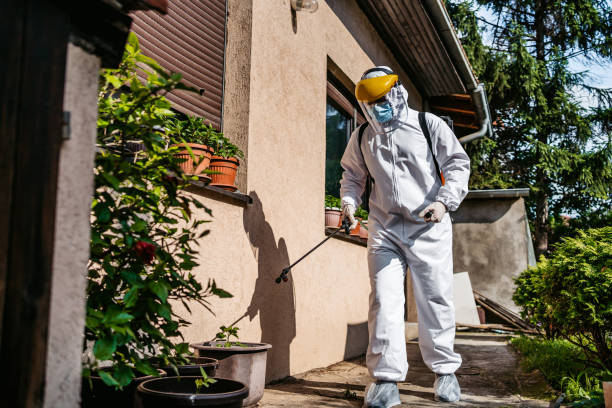 Best Best Pest Control Companies  in Young Harris, GA