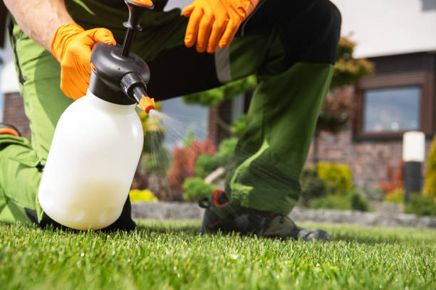 Best Bed Bug Extermination  in Young Harris, GA