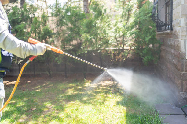 Best Pest Control for Businesses  in Young Harris, GA
