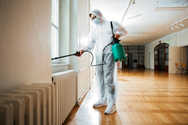 Best Affordable Pest Control Services  in Young Harris, GA