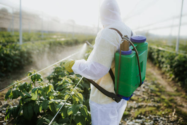 Best Emergency Pest Control  in Young Harris, GA